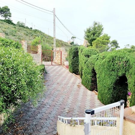 チバ Bella Vista Houseヴィラ エクステリア 写真